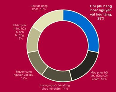 Những khoảng trời “giông bão” và “nắng đẹp” của kinh tế Việt Nam 2023