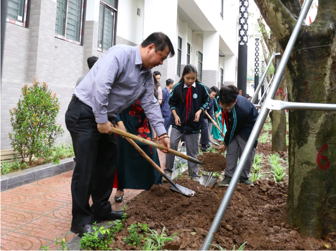 Làm xanh thêm không gian sống trên địa bàn Giảng Võ