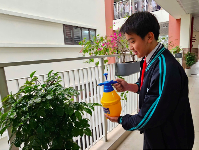 Làm xanh thêm không gian sống trên địa bàn Giảng Võ